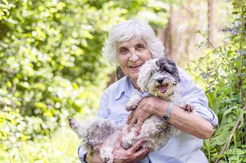 Happy older woman pensioner holding small dog is bright leafy green garden with lots of flowers